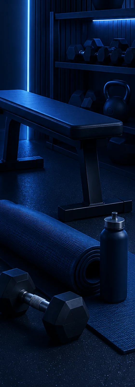A bench, dumbbells and a mat in a home gym